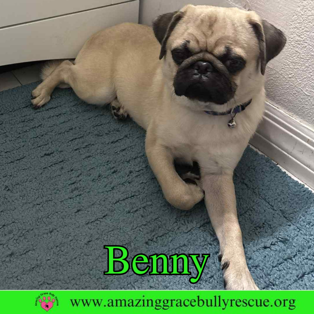 Benny