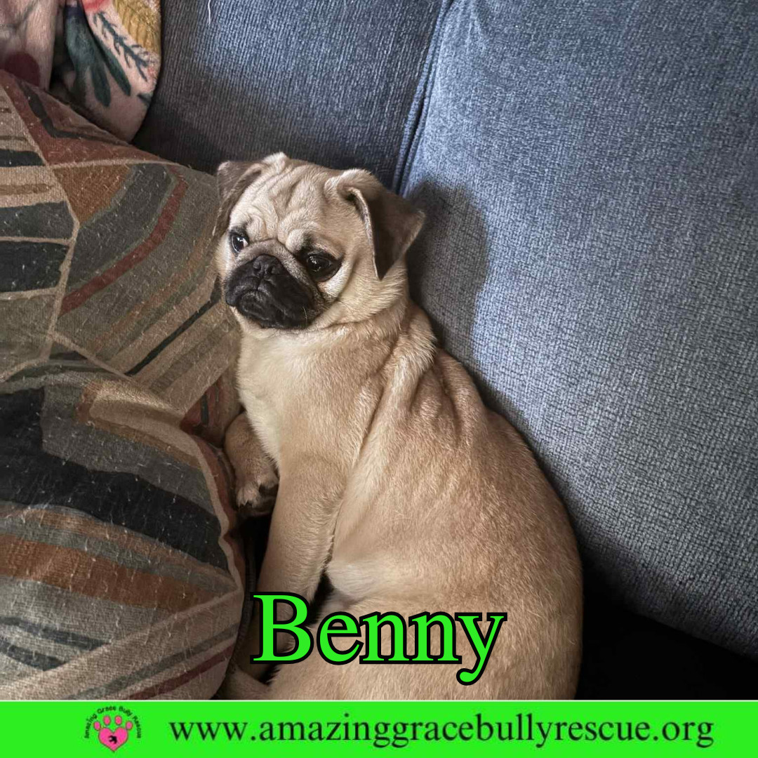 Benny