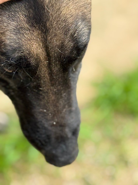 Sammy In Ca thumbnail 2