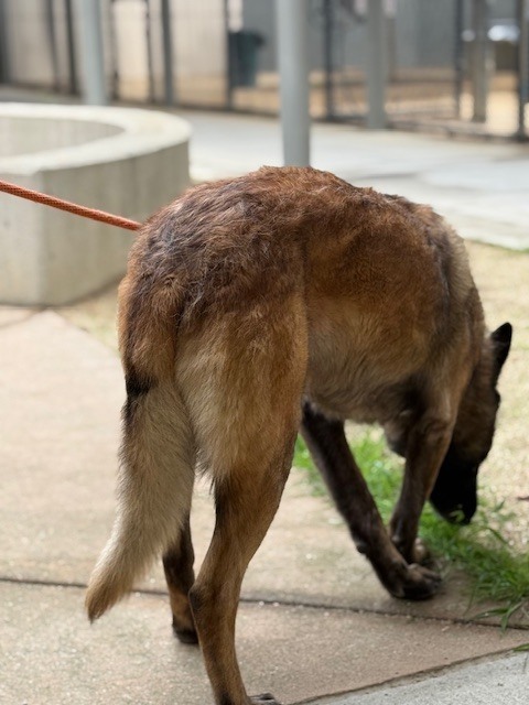 Sammy In Ca thumbnail 3