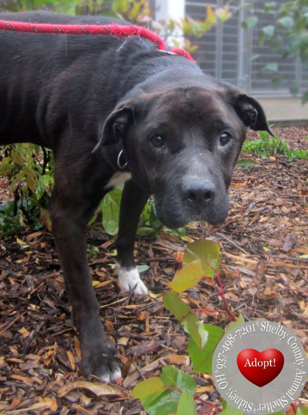 Nico Yrly thumbnail 2