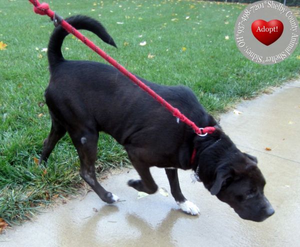 Nico Yrly thumbnail 3