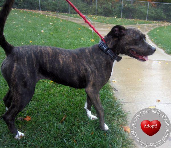 Thadia Yrly thumbnail 2