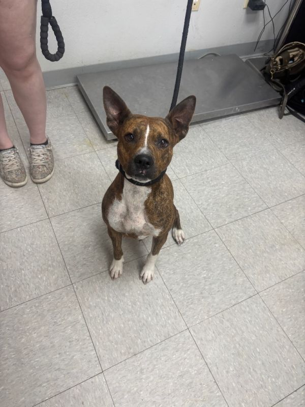 Castellaneta thumbnail 2