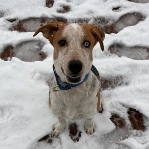 Baguette - Precious Boy!