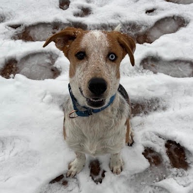 Baguette - Precious Boy!