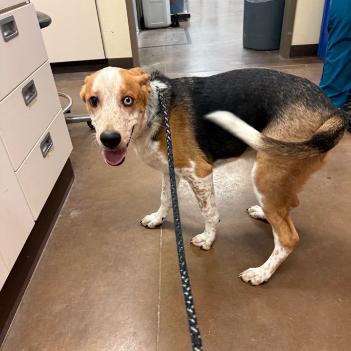 Baguette - Precious Boy! 2