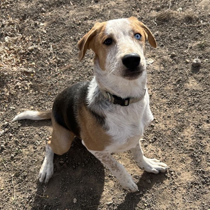 Baguette - Precious Boy! 3