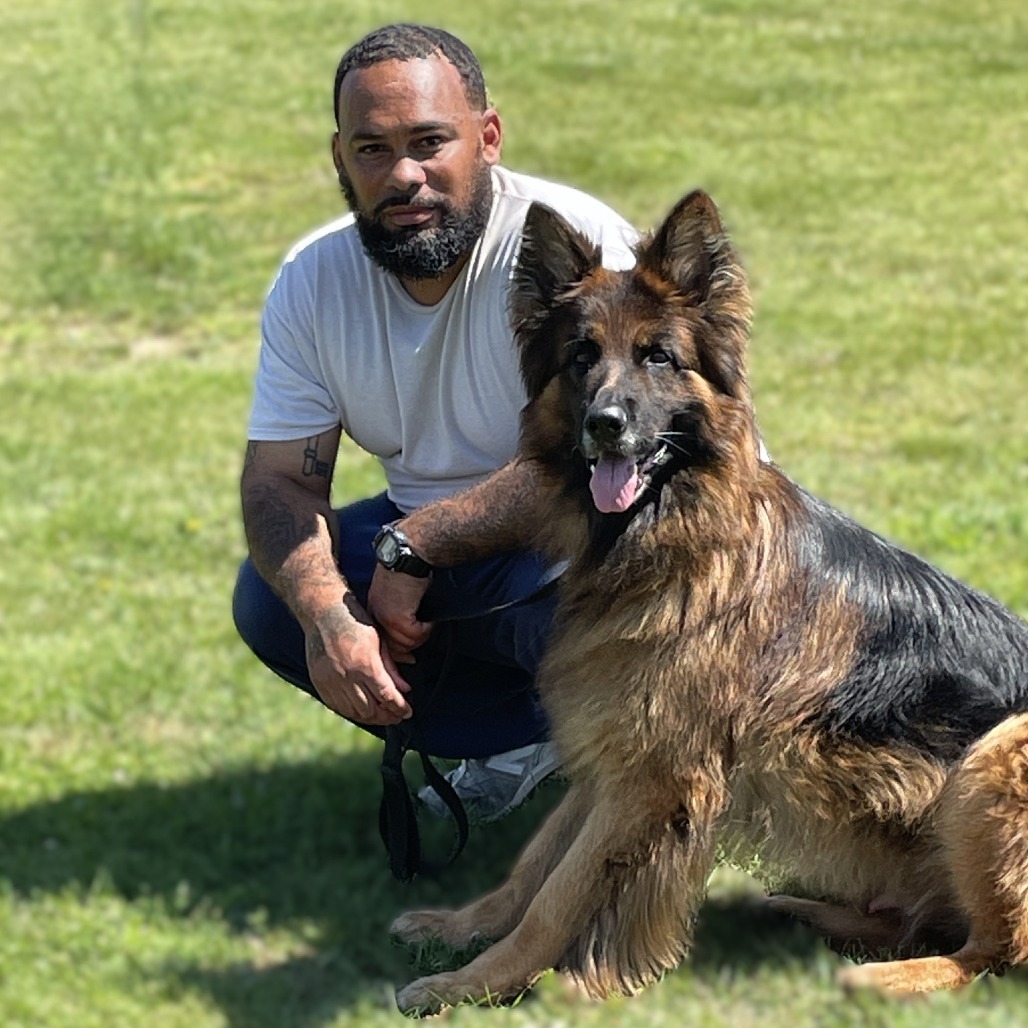 Sully 250423, an adoptable German Shepherd Dog in Escanaba, MI, 49829 | Photo Image 2