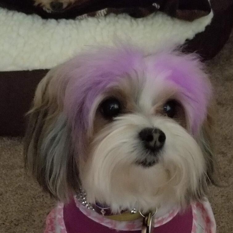 Piper Rose (Killeen TX)