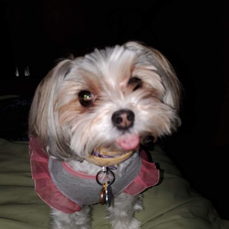 Piper Rose (Killeen TX)