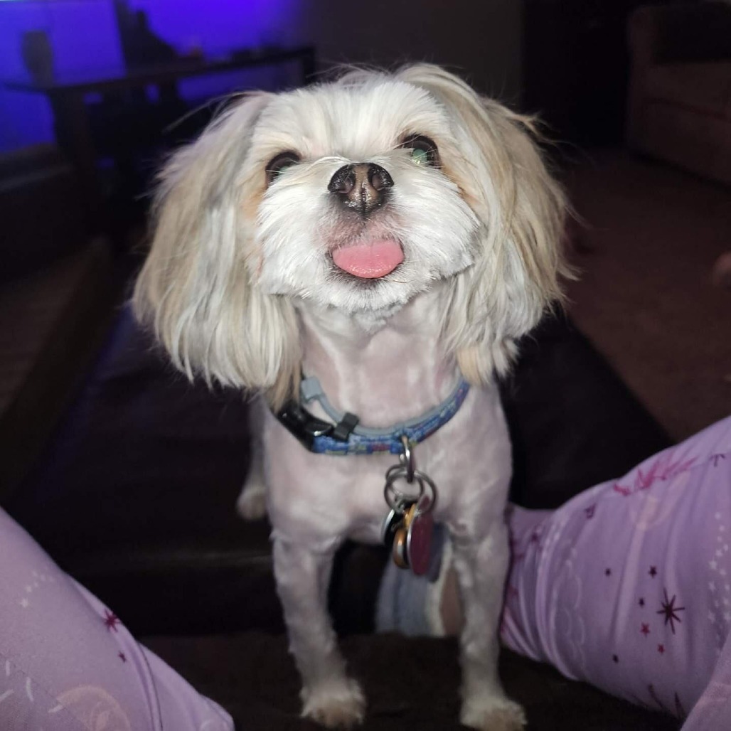 Piper Rose (Killeen TX)