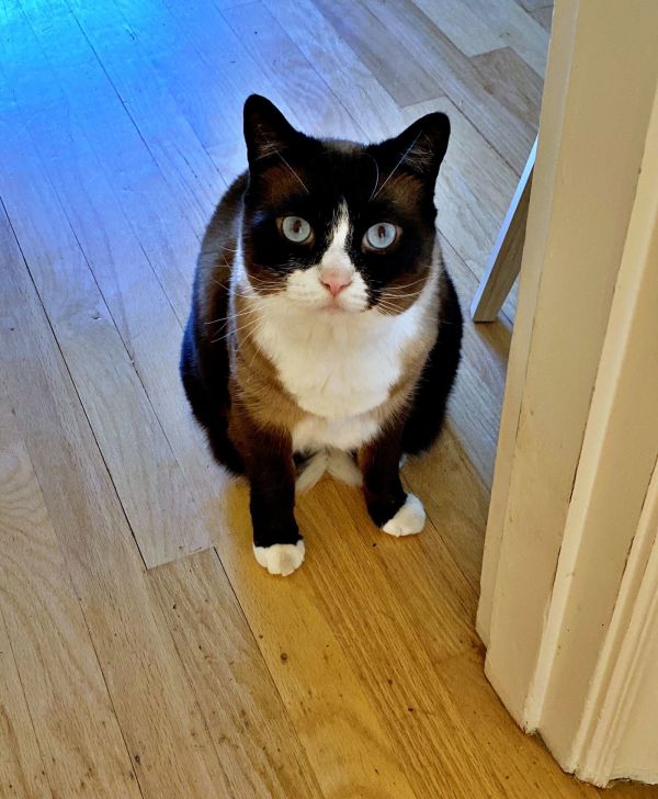 POPPY #1758 - Offered by Owner