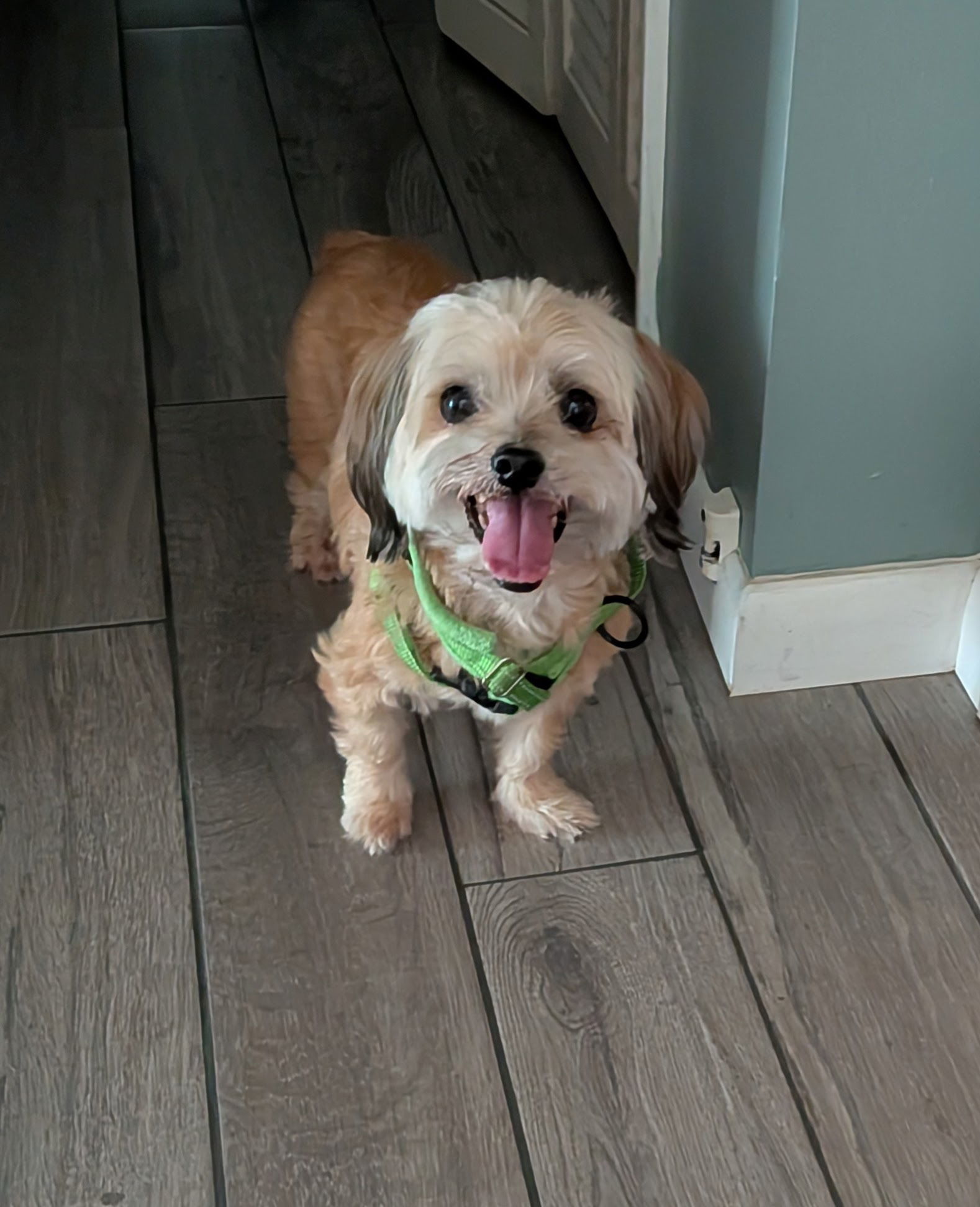 Mack *FH bonded with Casper