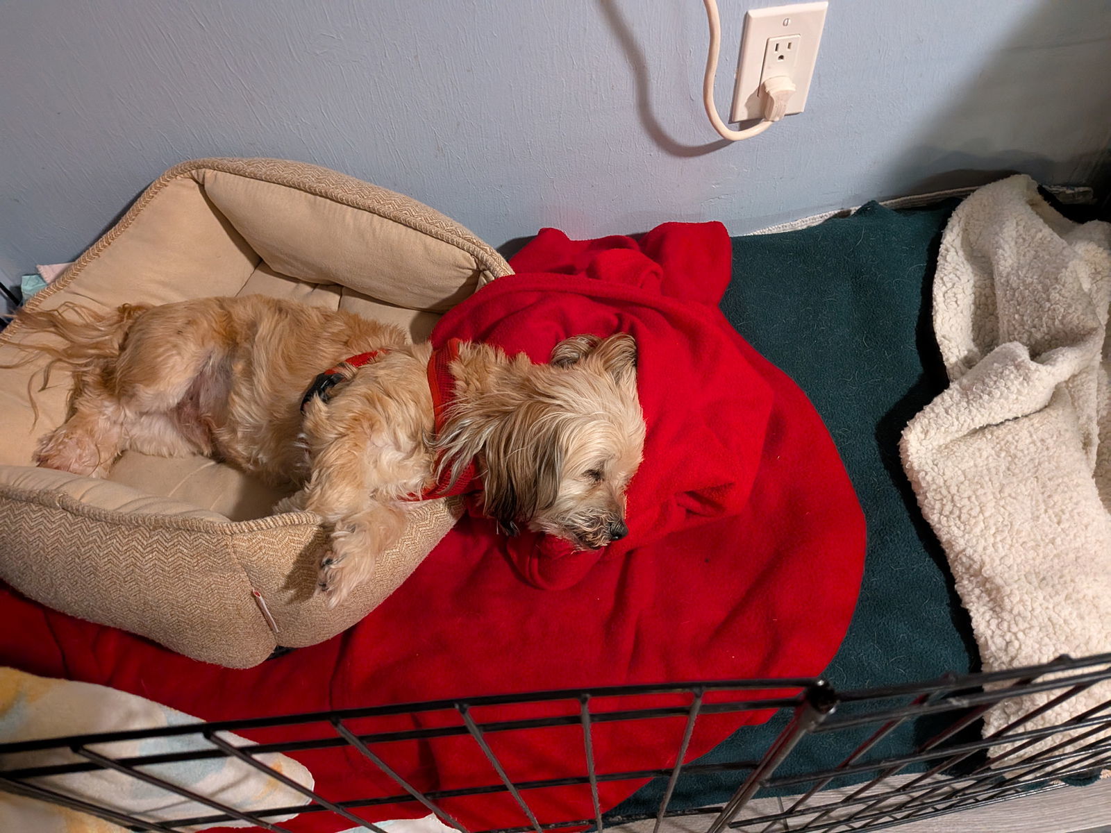 Mack *FH bonded with Casper