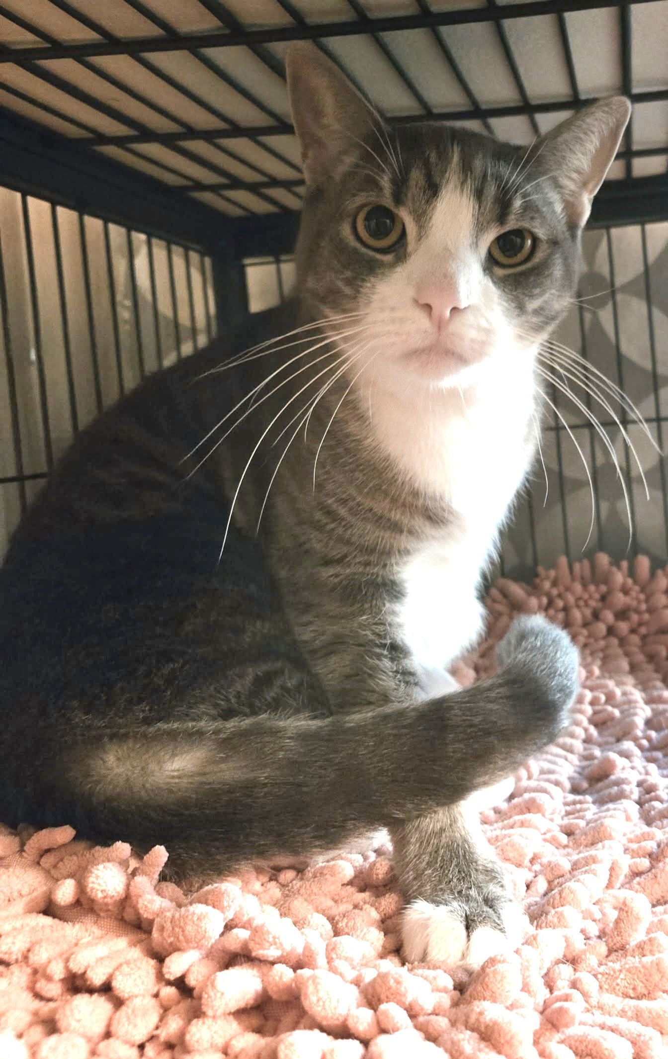 Greyson Philly (and Dixxie)