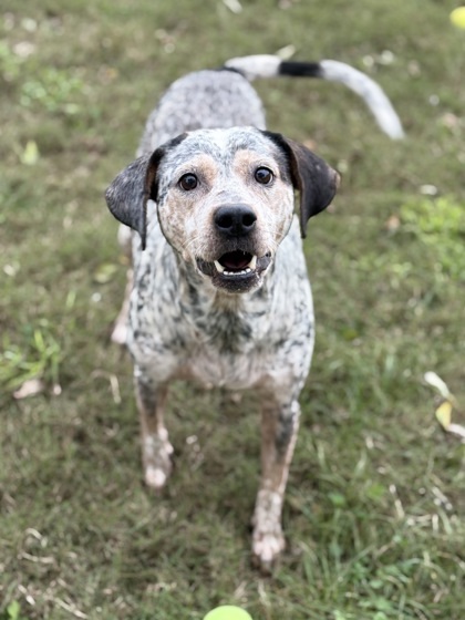 Lily Girl thumbnail 2