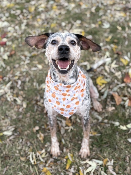 Lily Girl thumbnail 3