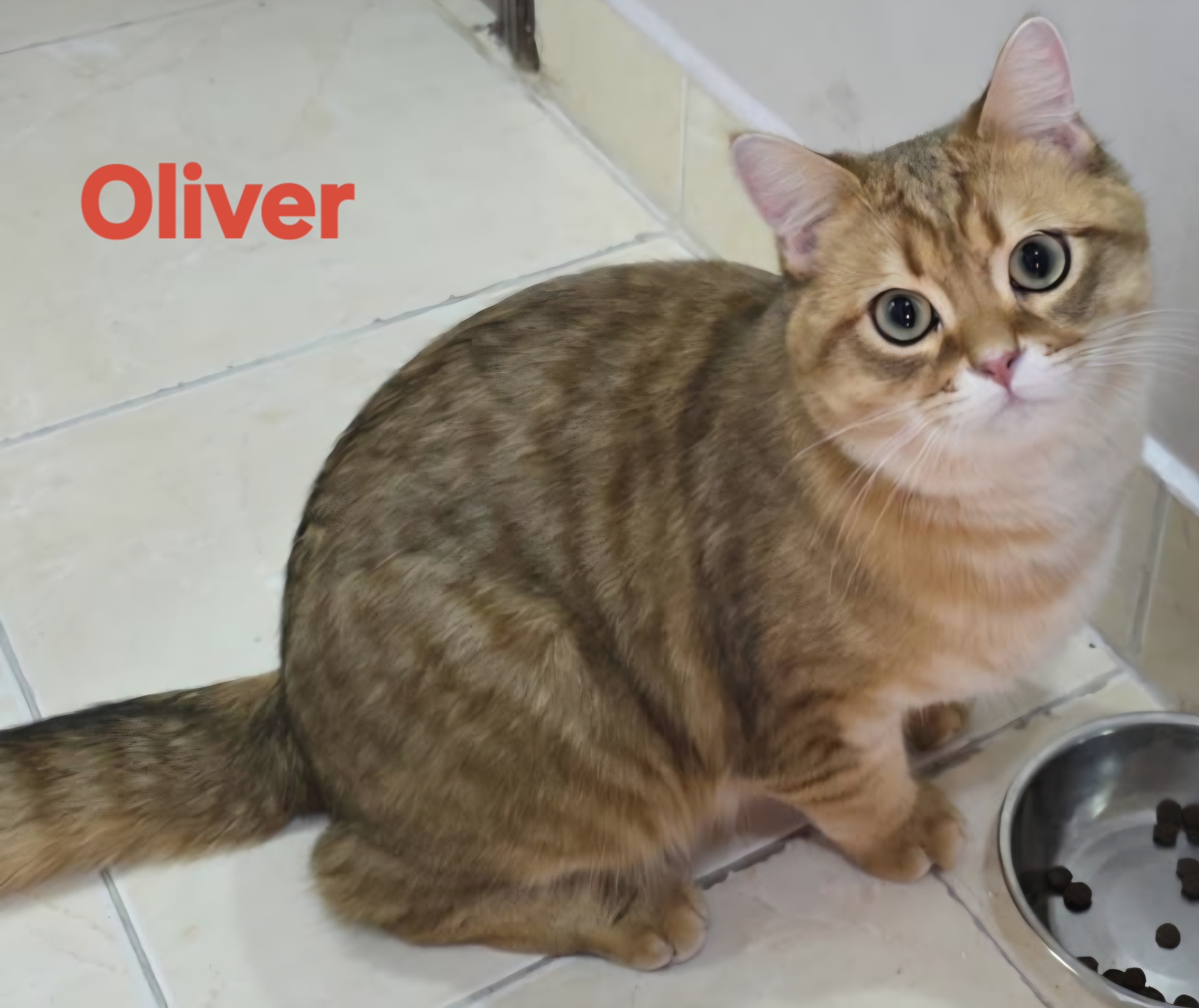 Oliver