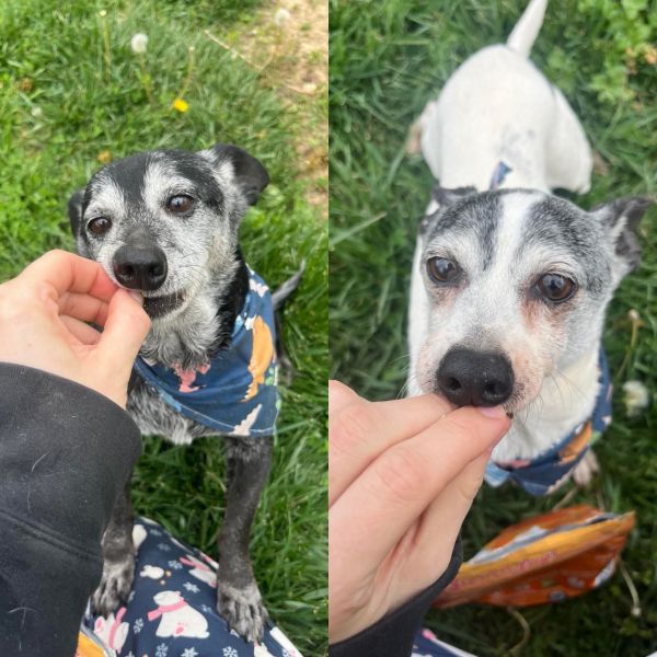 Pepsi &amp; Snoopy thumbnail 6