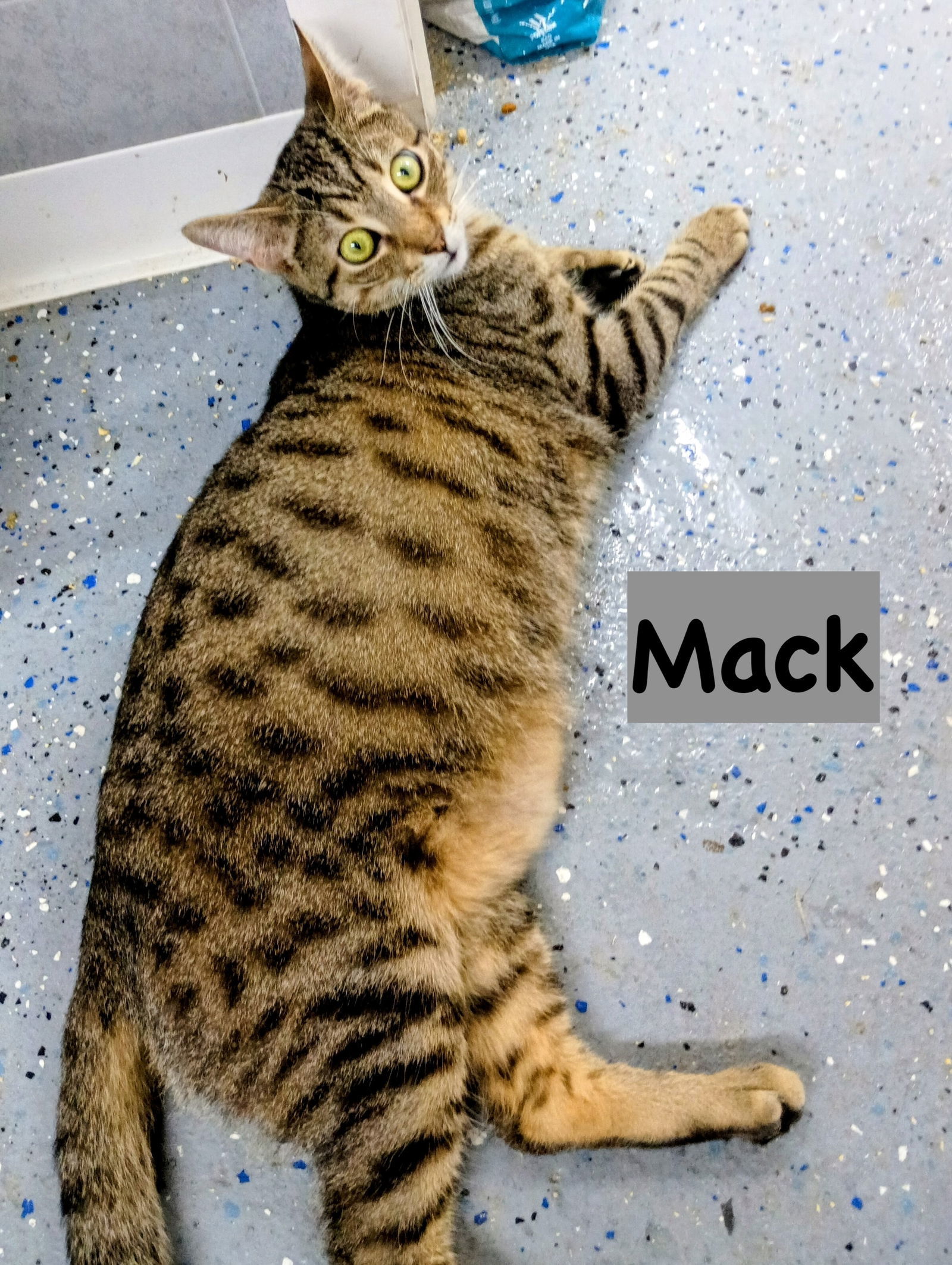 Mack