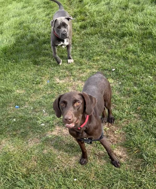 Gretchen Wieners thumbnail 2