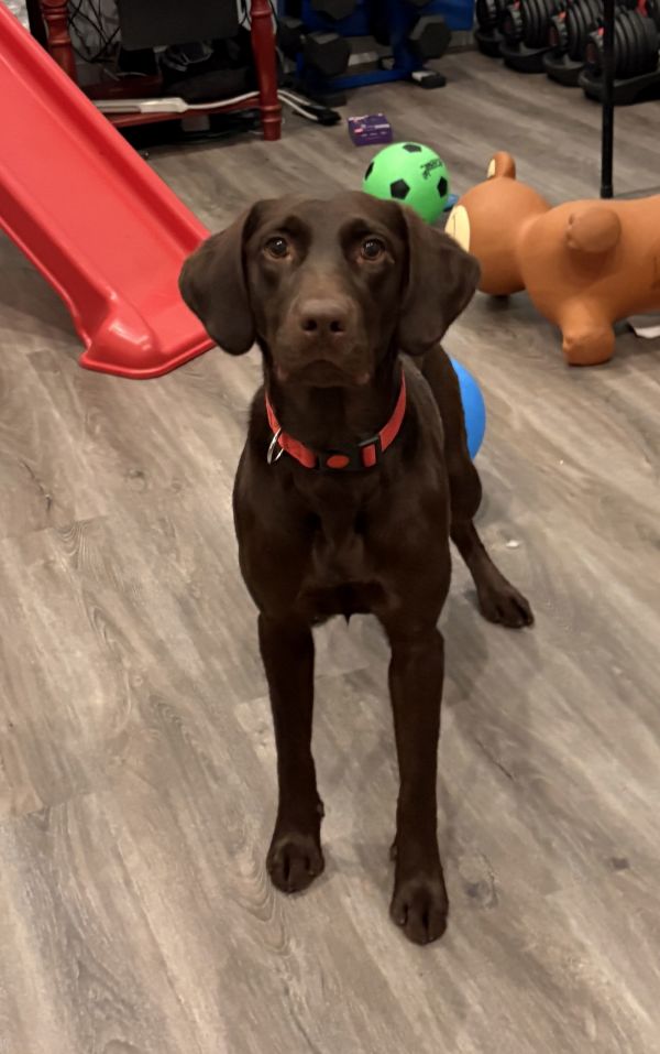 Gretchen Wieners thumbnail 3