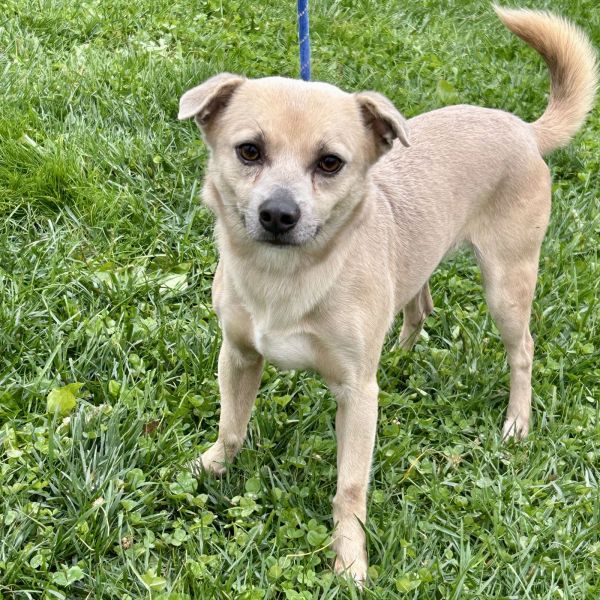 Hugh Jackman thumbnail 3