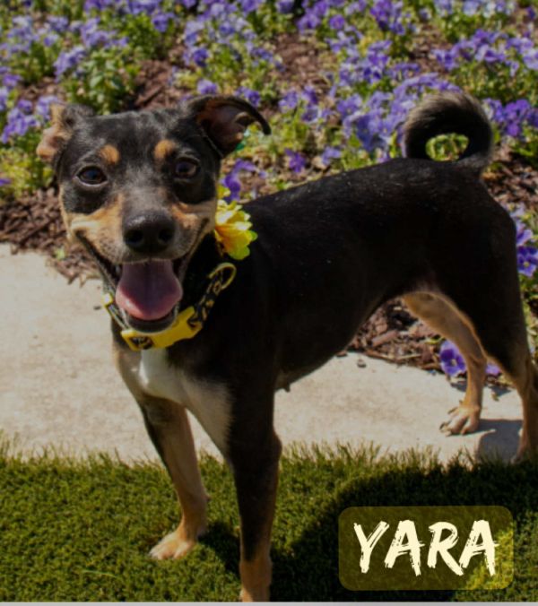 Yara - Yes, I am cute!!