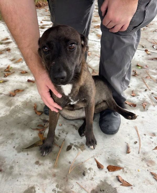 Bumper - Silly Sweetie!