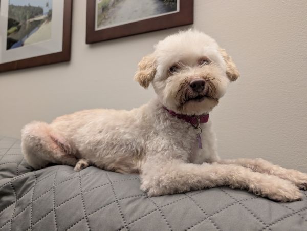 Tallulah thumbnail 2