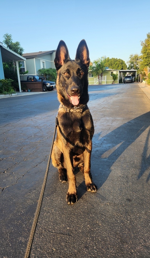 Max Located In Santa photo 1