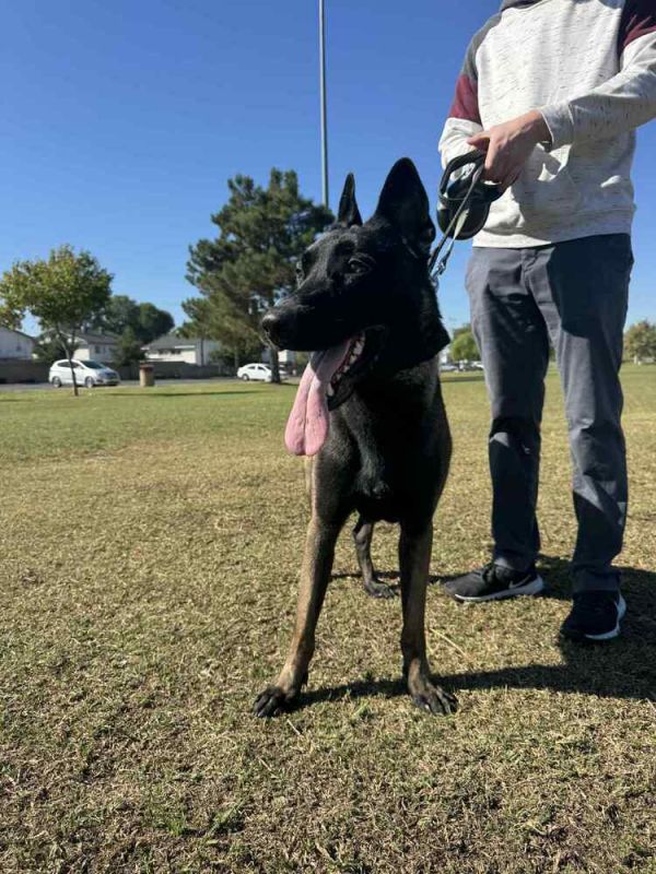 Max Located In Santa thumbnail 2