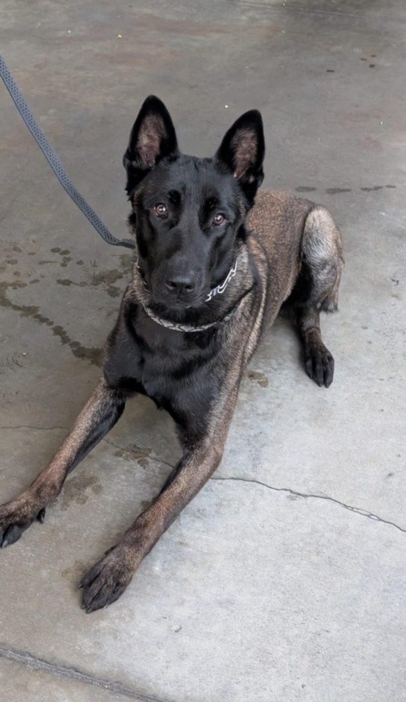 Max Located In Santa thumbnail 4