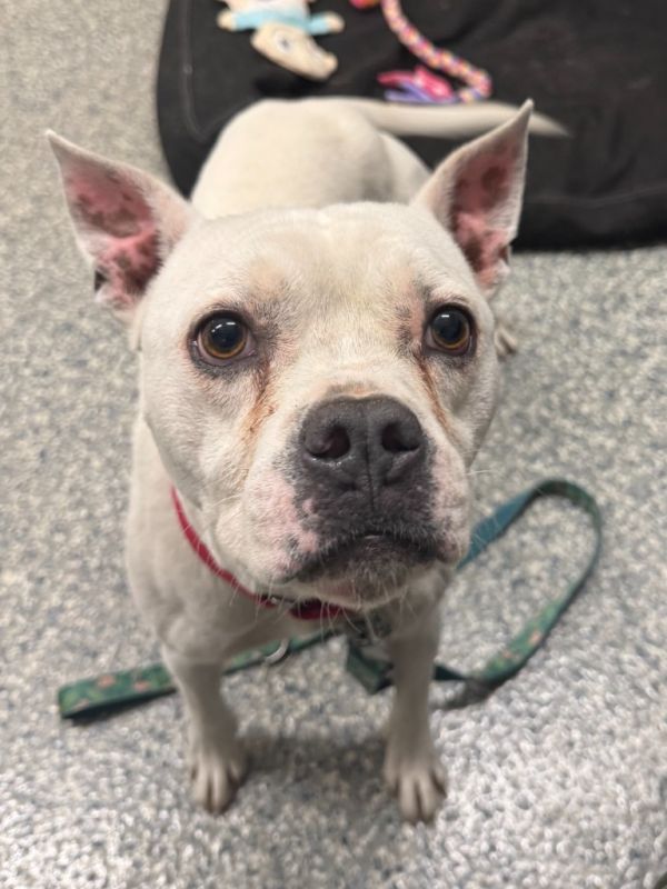 Crawford thumbnail 2