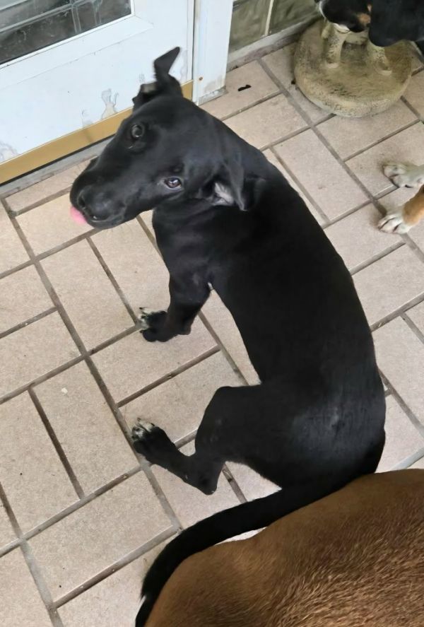 Princess thumbnail 2