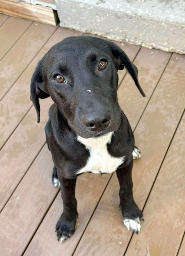 Princess thumbnail 3