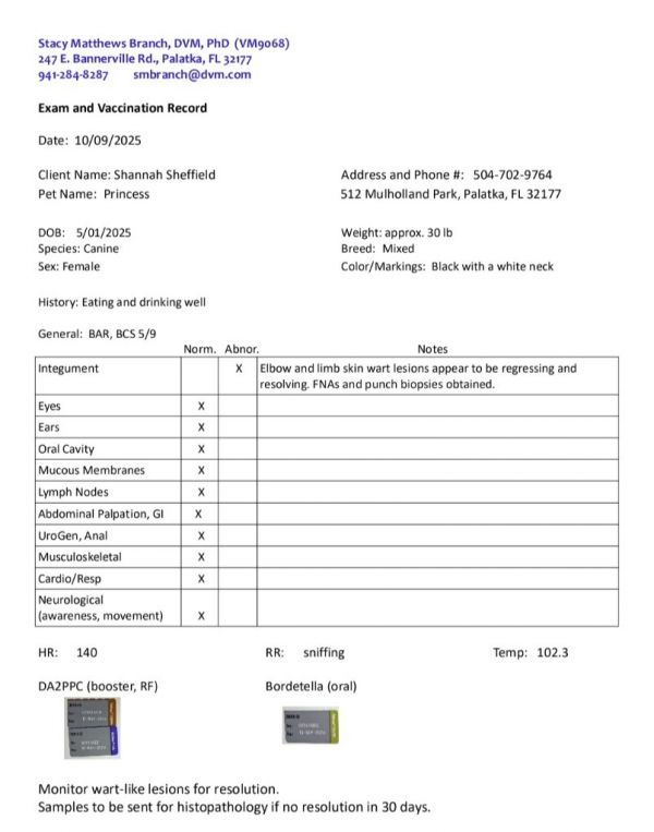 Princess thumbnail 4