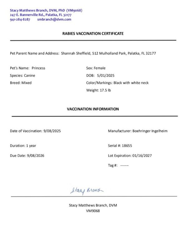 Princess thumbnail 5