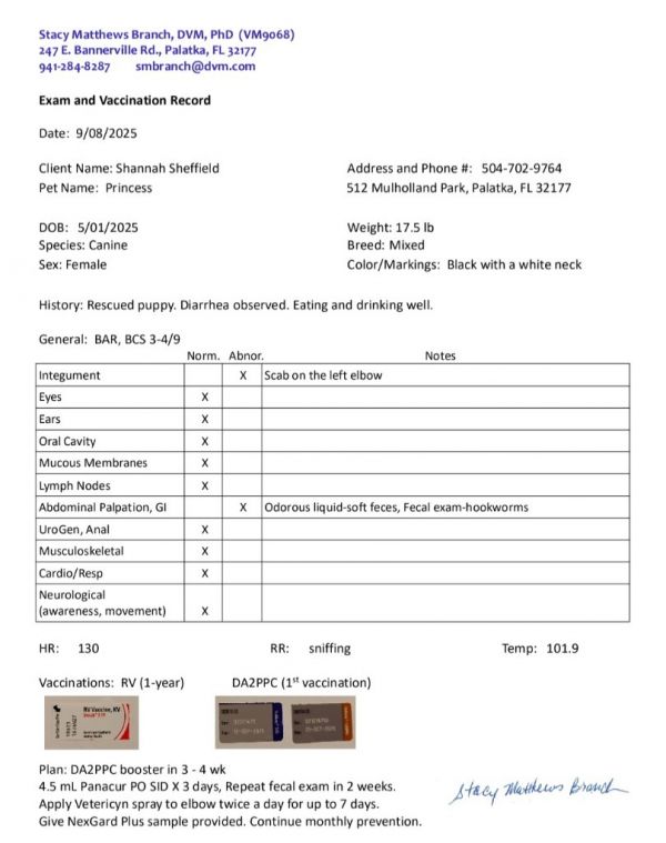 Princess thumbnail 6