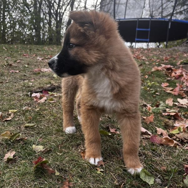 Tequila Sunrise thumbnail 2