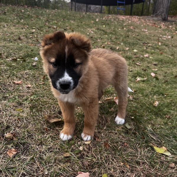 Tequila Sunrise thumbnail 3