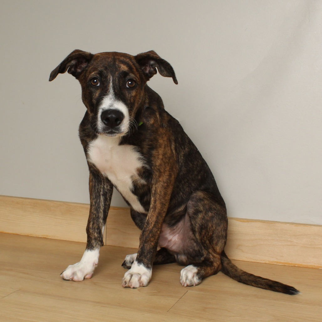 Mario D66079 (Sponsored)