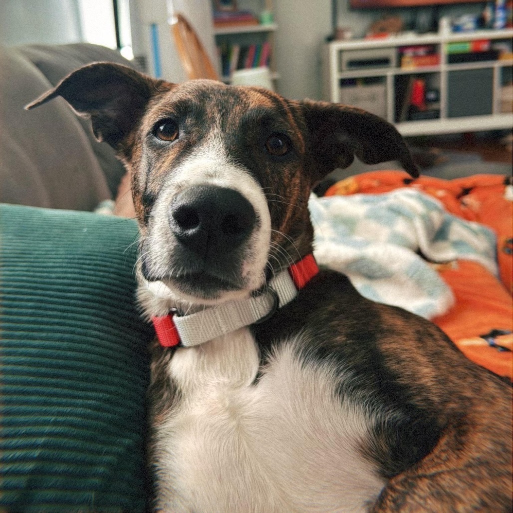 Mario D66079 (Sponsored)