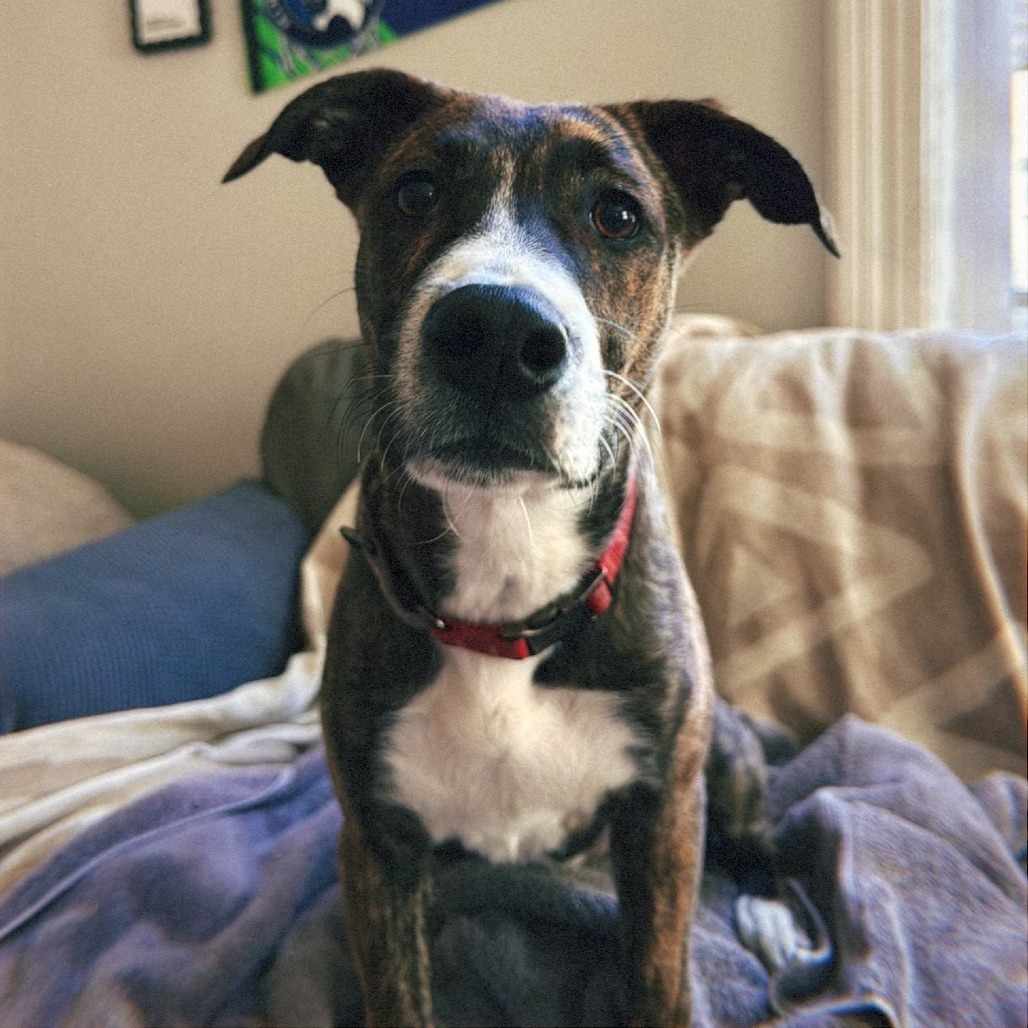 Mario D66079 (Sponsored)