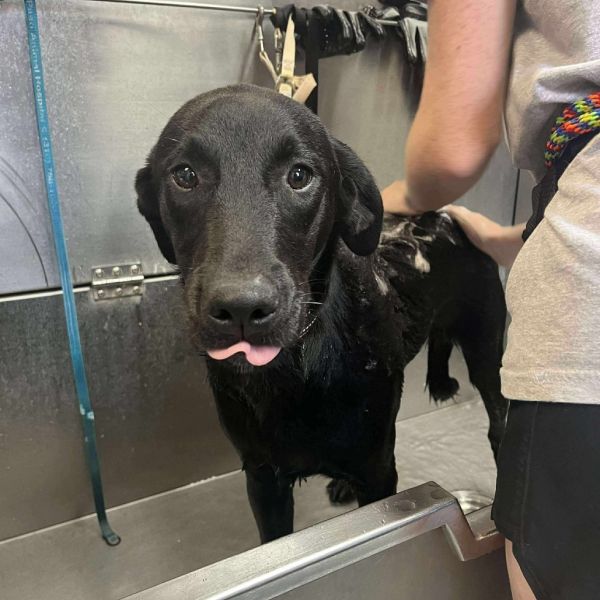 Sunshine thumbnail 2