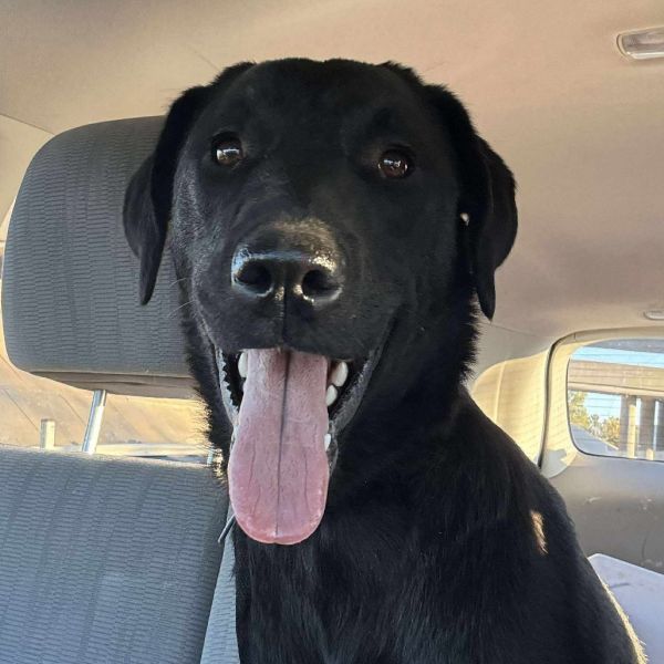 Sunshine thumbnail 3