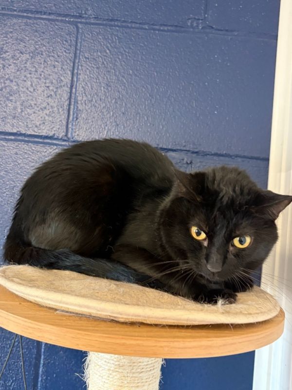 Windscape thumbnail 2