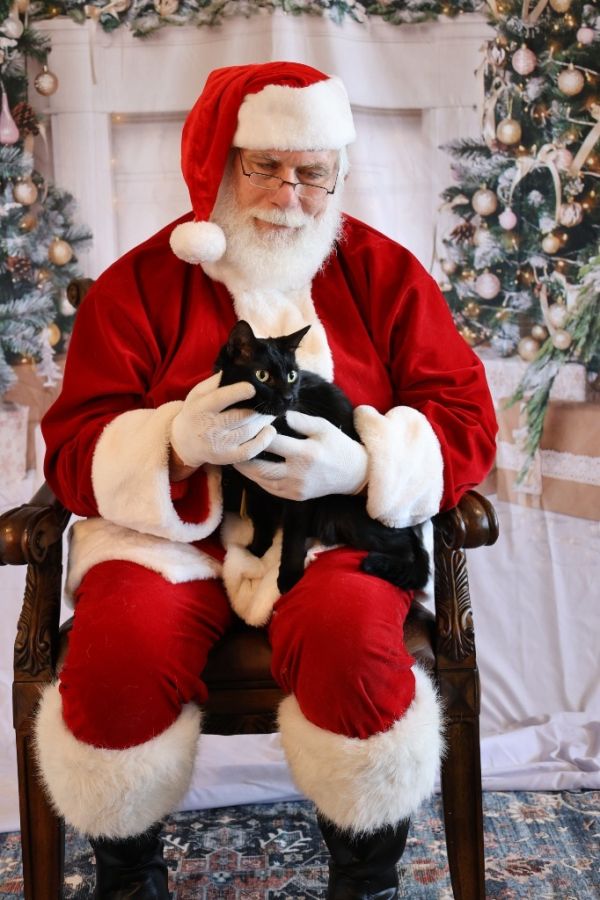 Windscape thumbnail 3