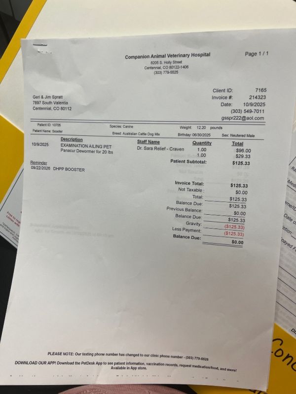 Penry Pooch thumbnail 4